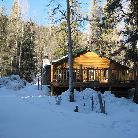 Cabin By The Creek With High Speed Wifi Red River Luaran gambar