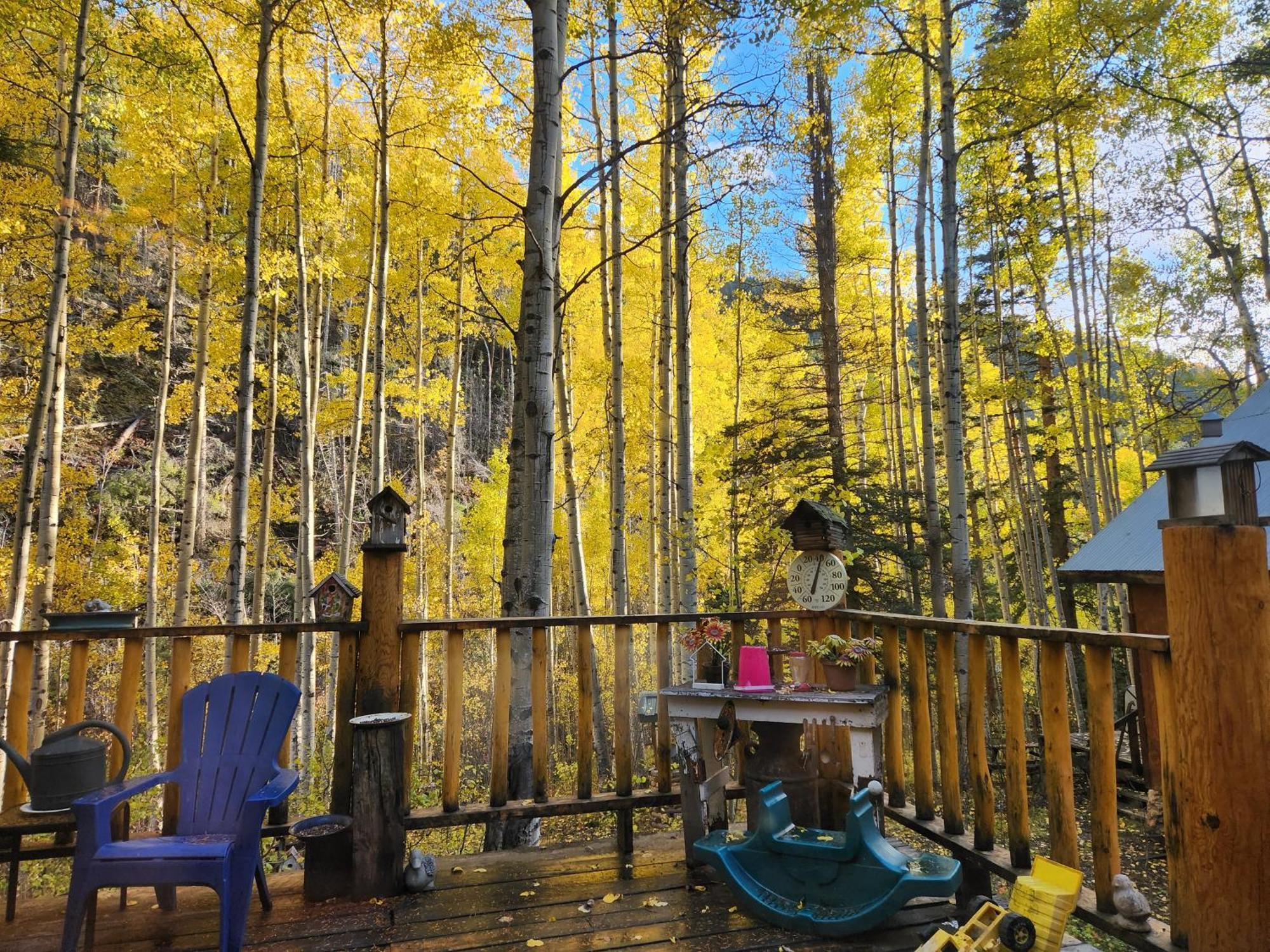 Cabin By The Creek With High Speed Wifi Red River Luaran gambar