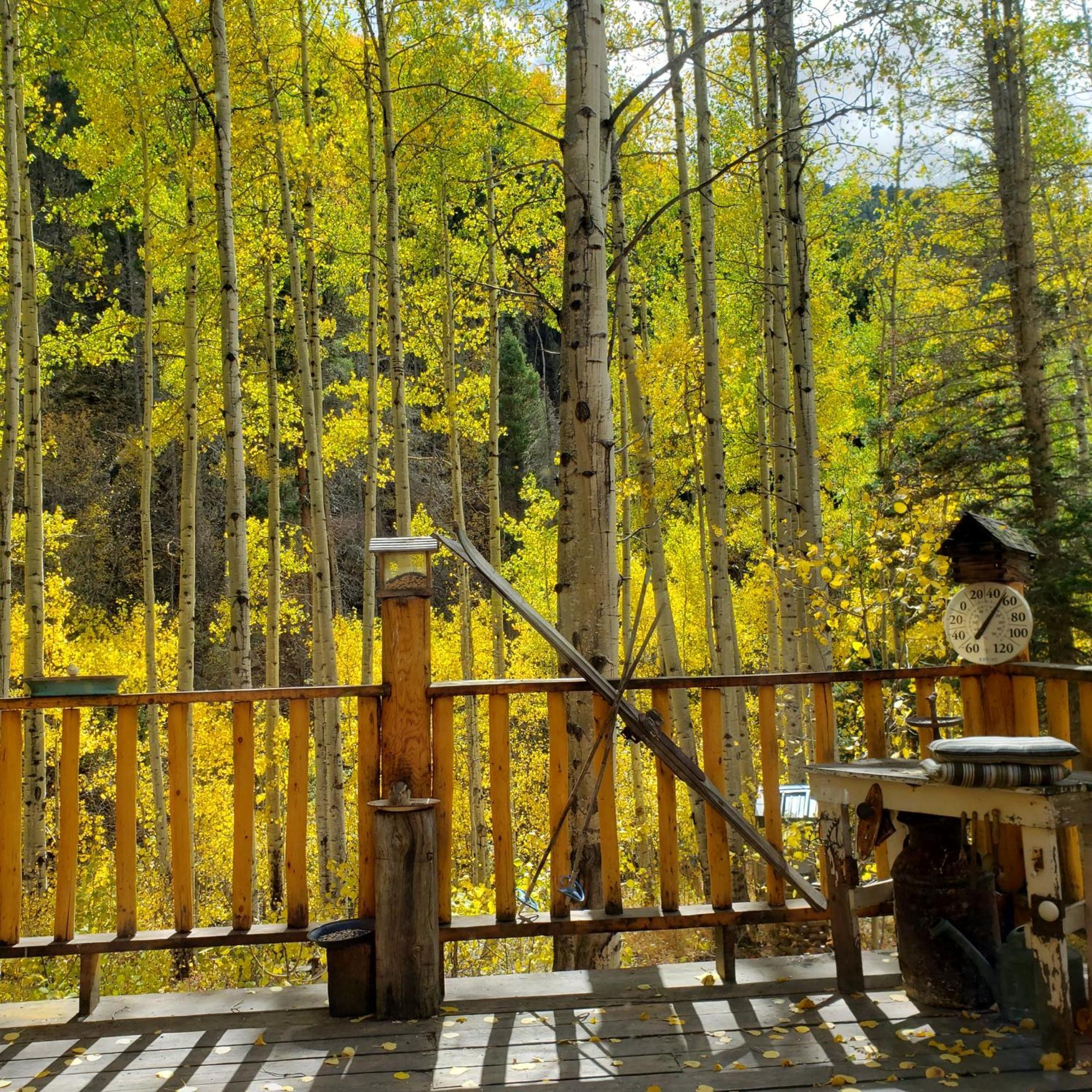 Cabin By The Creek With High Speed Wifi Red River Luaran gambar